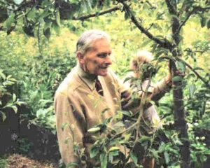 Robert Hart- En skoghage med maksimal avling for minimal arbeidskraft
