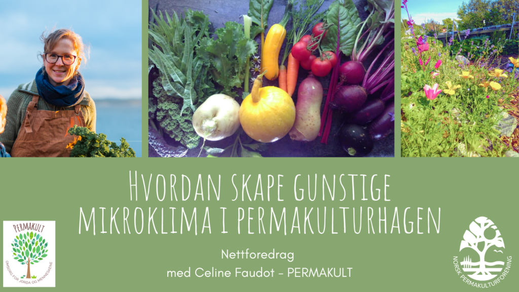 Norsk permakulturforening nettforedrag mikroklima