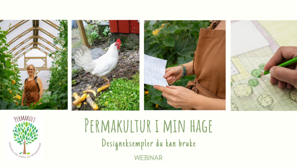 Permakulturdesign kurs