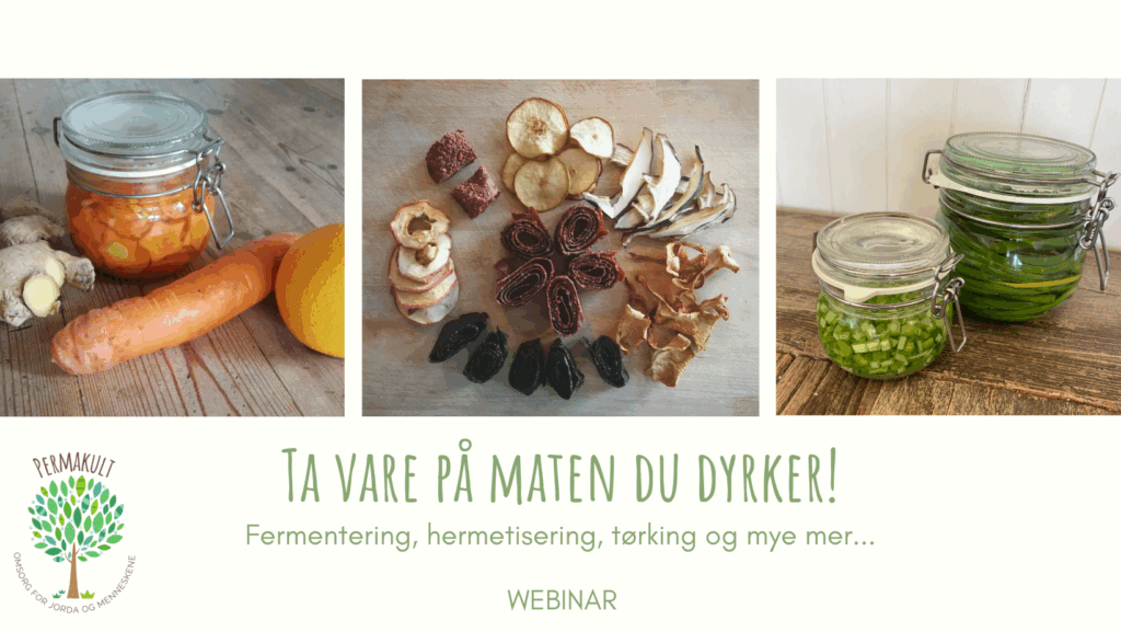 Webinar konservering av mat